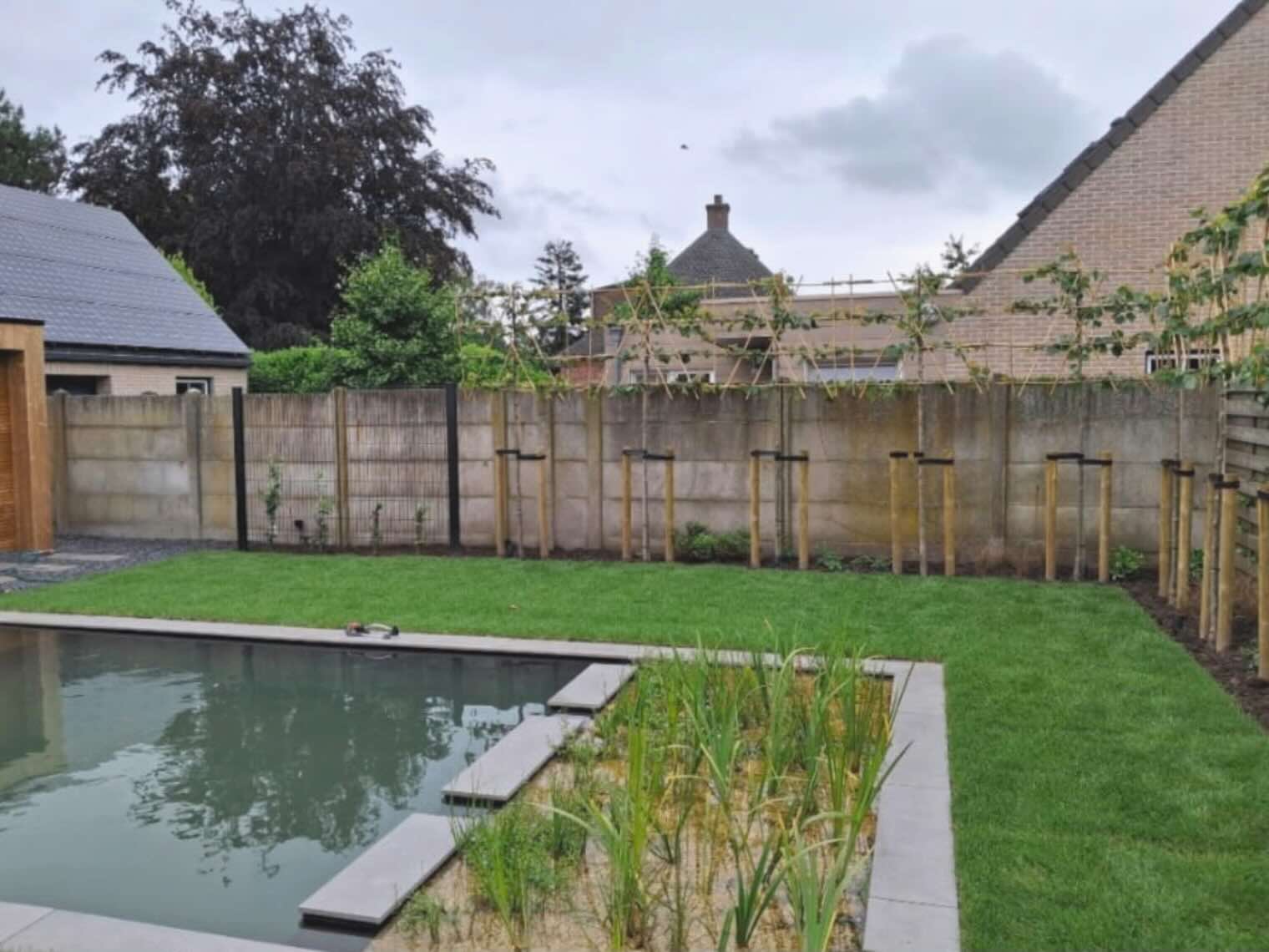 Tuin met vijver en gazon
