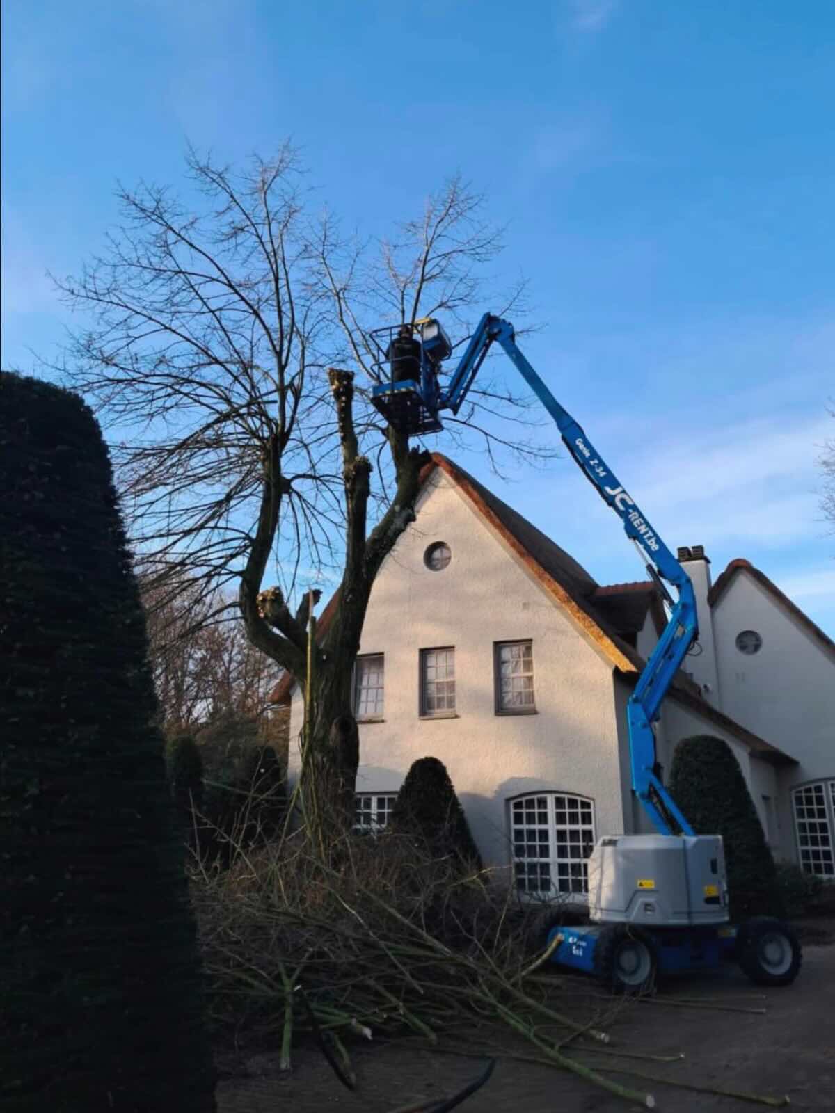 Boom snoeien met hoogwerker